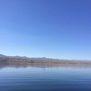 Meet your Posher, Kelli